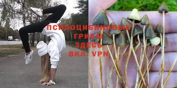 круглые Алексеевка