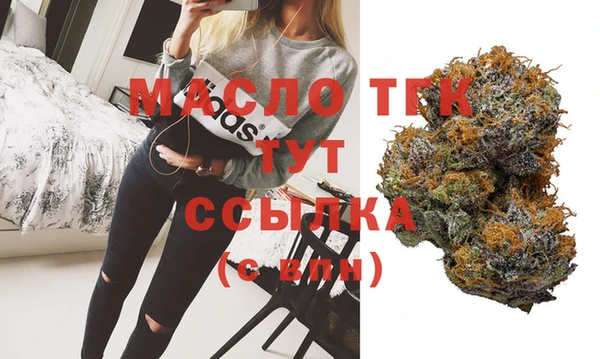 молекула духа Пересвет