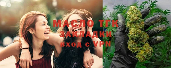 молекула духа Пересвет