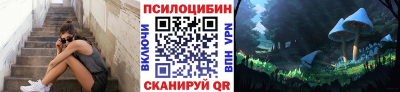 наркота  Калтан  Галлюциногенные грибы Psilocybe 
